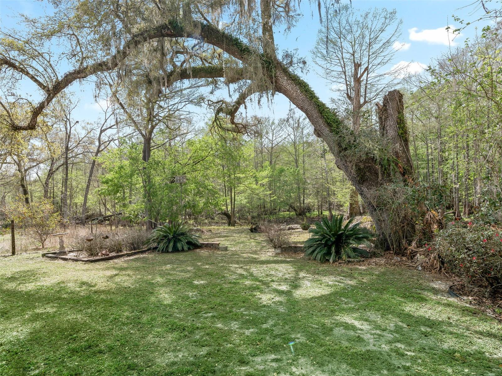 8701 CR 647 S, BUSHNELL, FL — photo 16