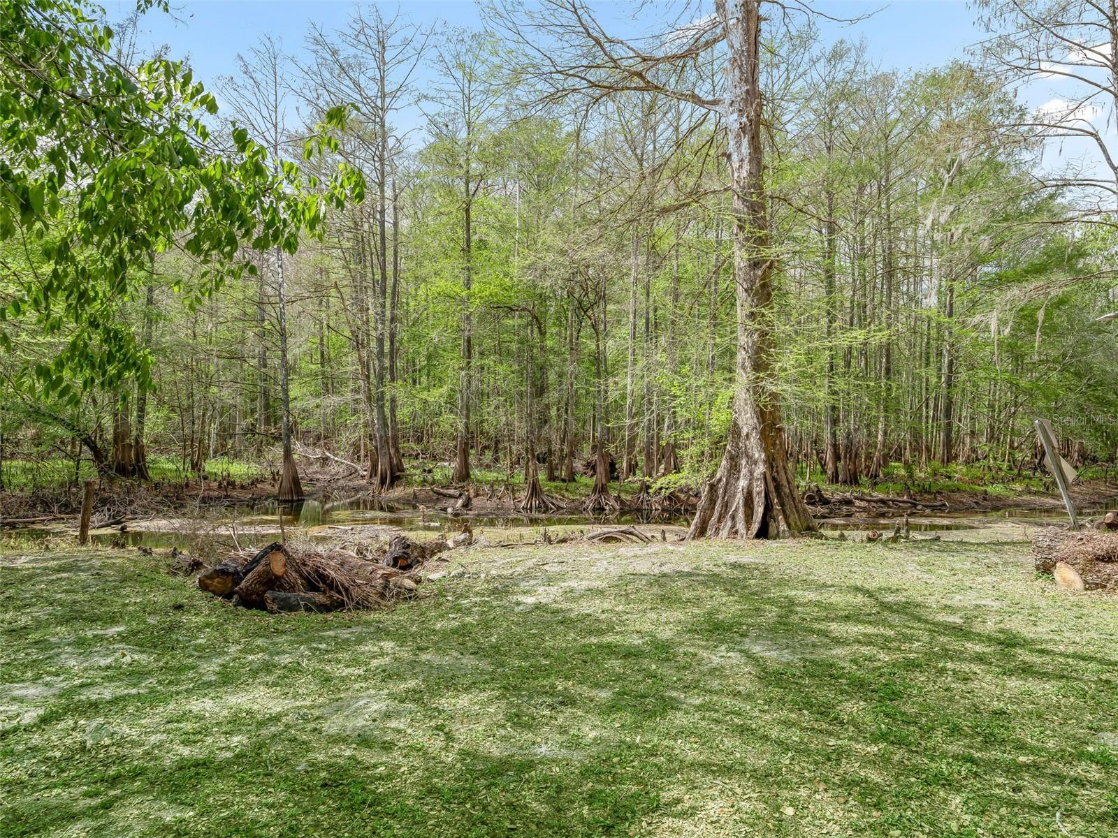 8701 CR 647 S, BUSHNELL, FL — photo 21