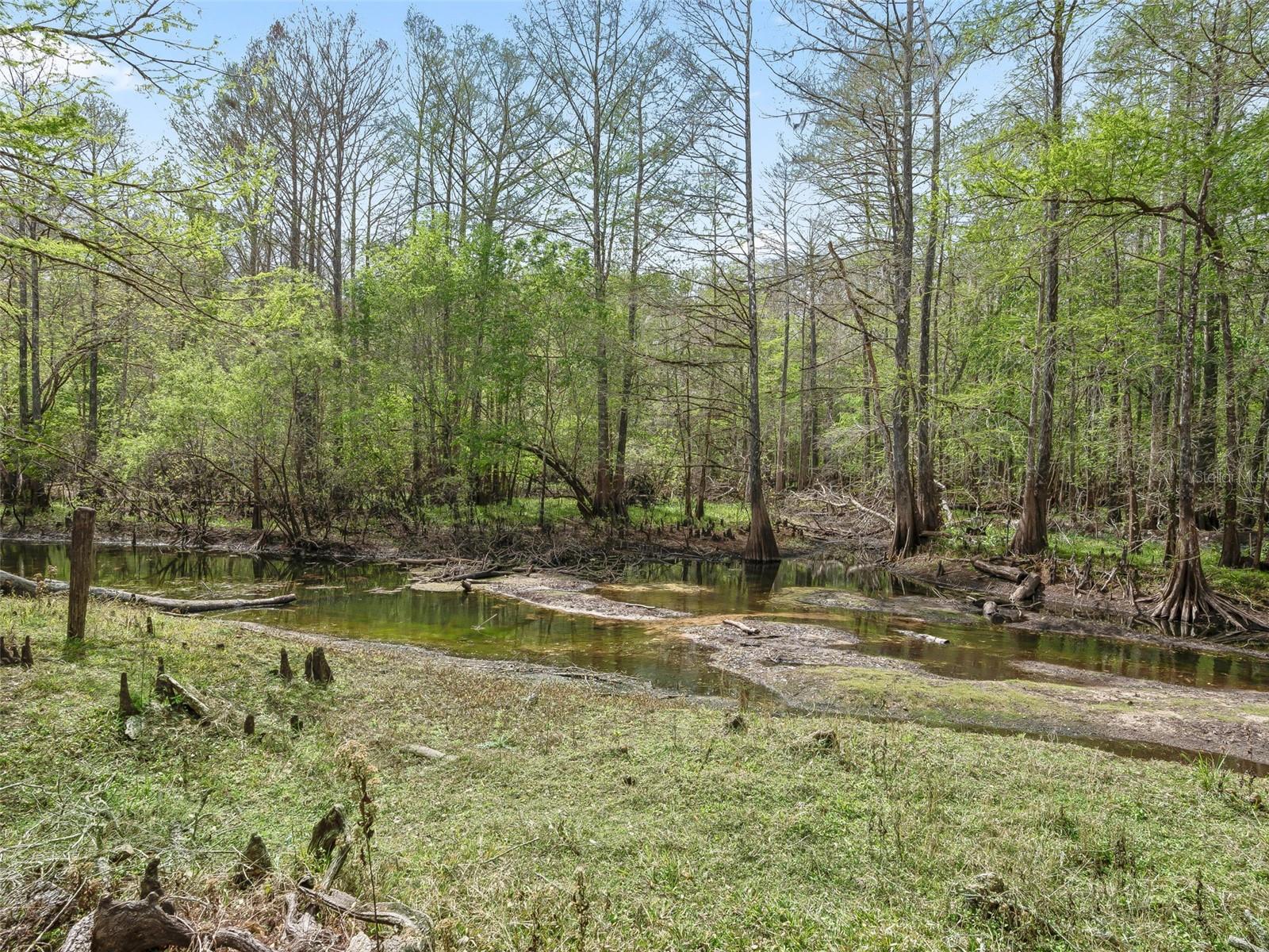 8701 CR 647 S, BUSHNELL, FL — photo 23