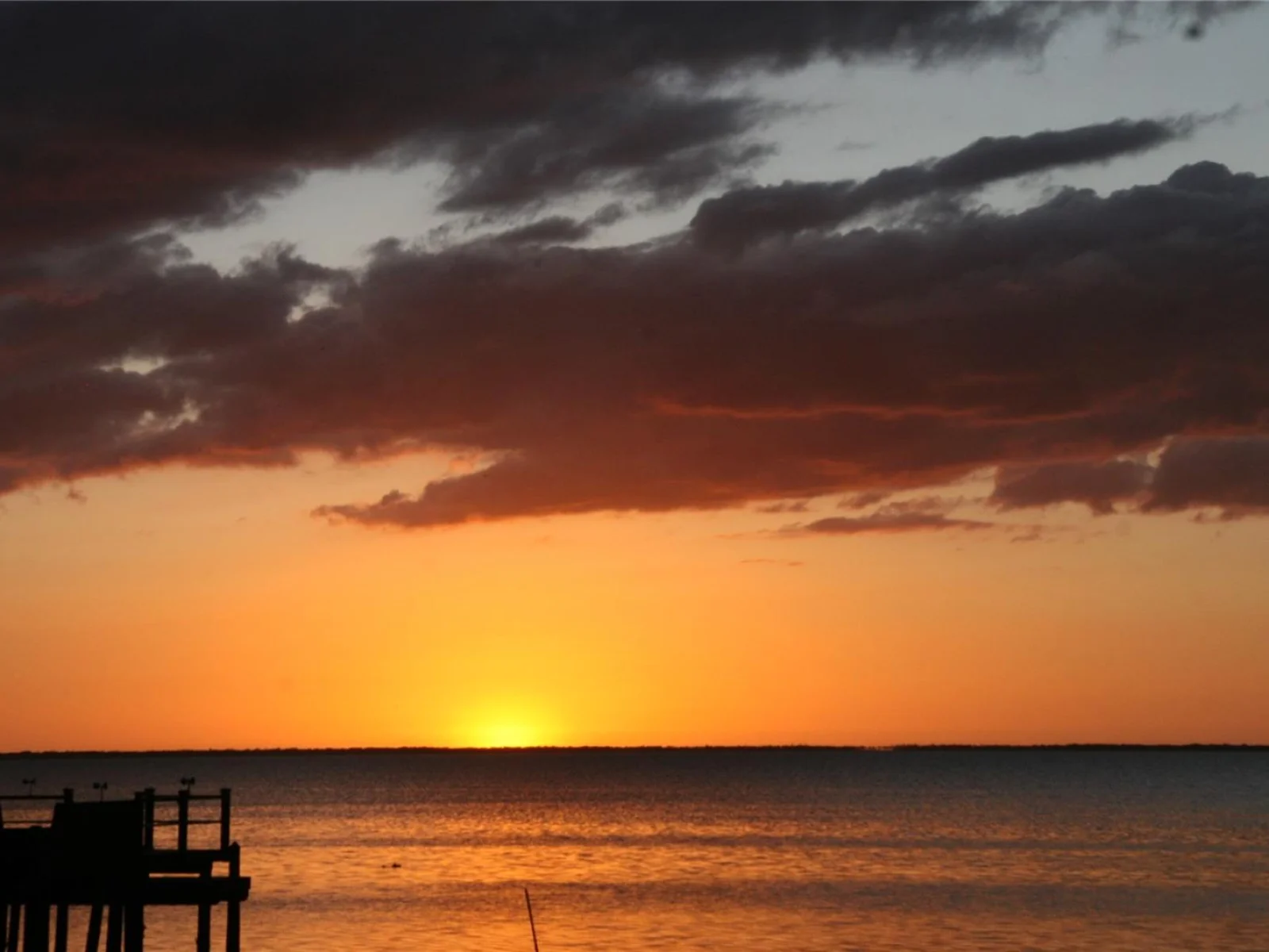 000 BLUFF BLVD, HOLIDAY, FL — photo 9