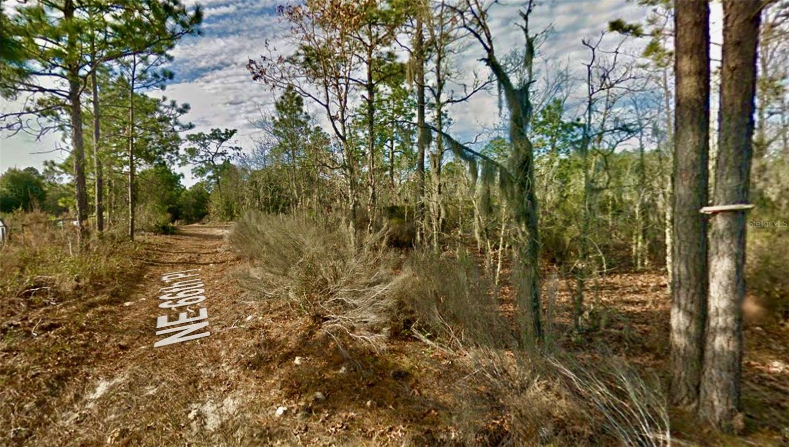 000 66TH PL. NE, BRONSON, FL — photo 4
