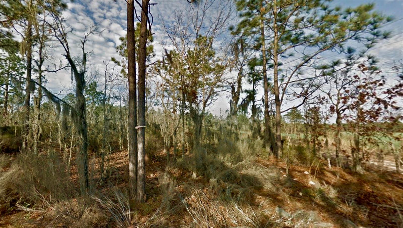 000 66TH PL. NE, BRONSON, FL — photo 5