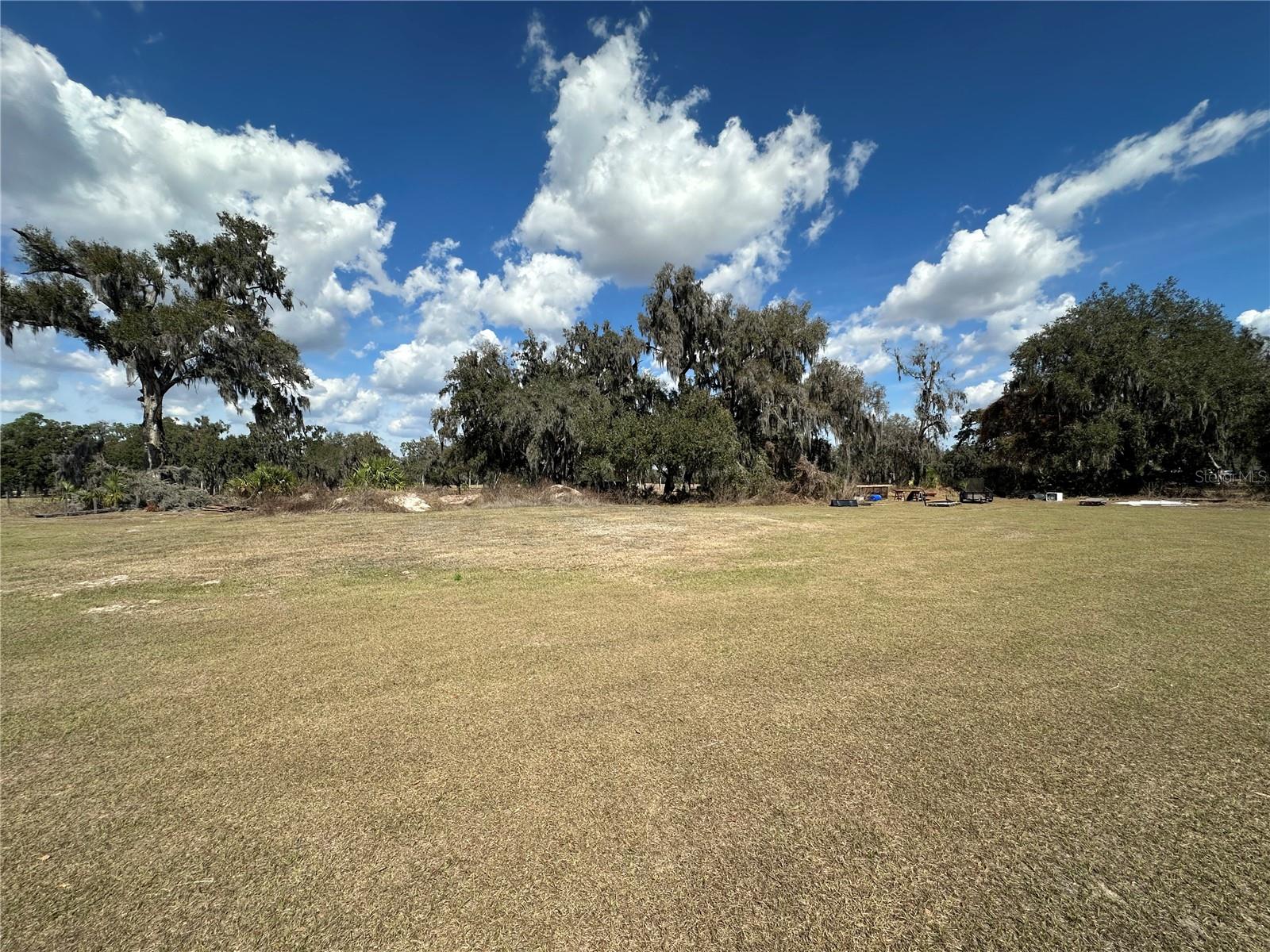9988 BRYANT RD, LITHIA, FL — photo 10