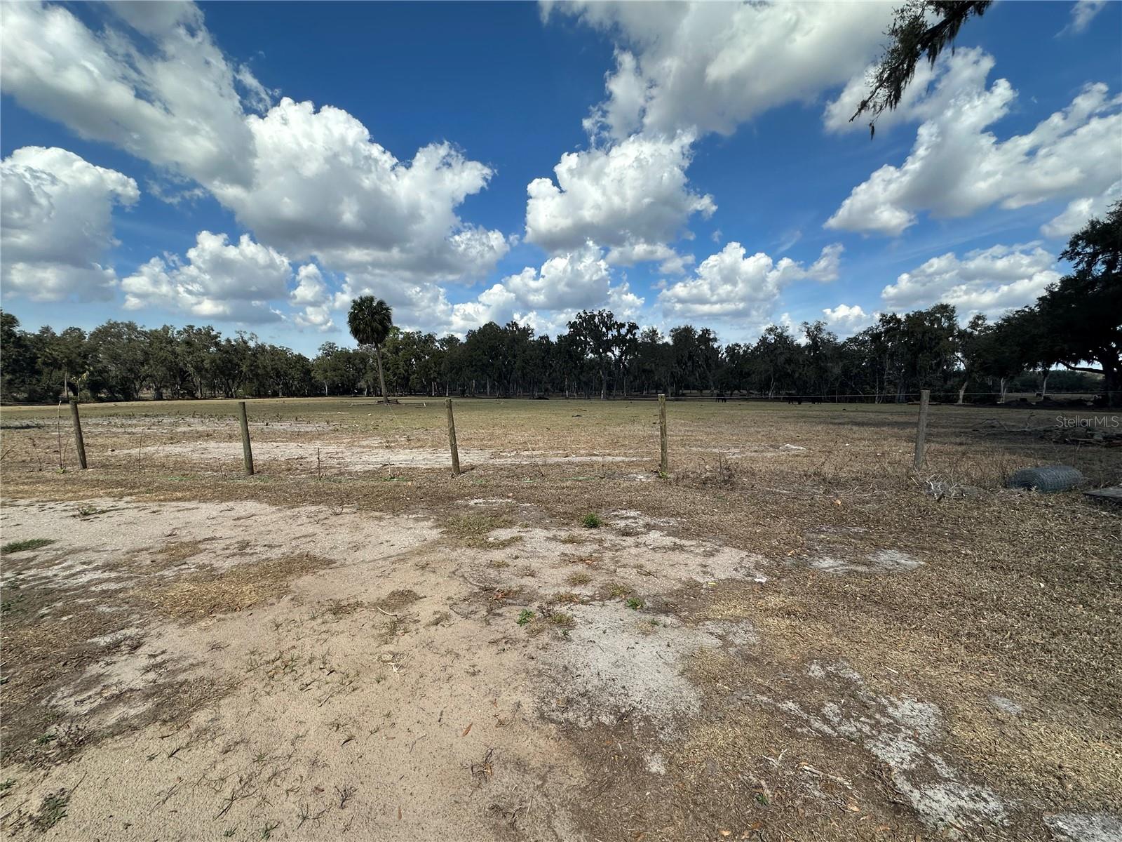 9988 BRYANT RD, LITHIA, FL — photo 11