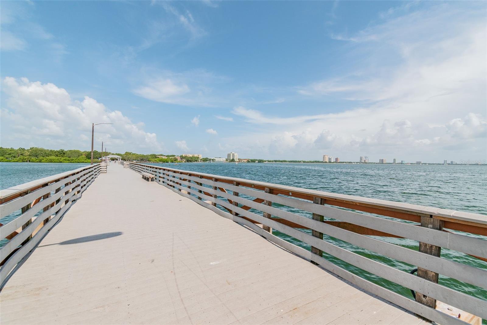 3016 W BALLAST POINT BLVD, TAMPA, FL — photo 60