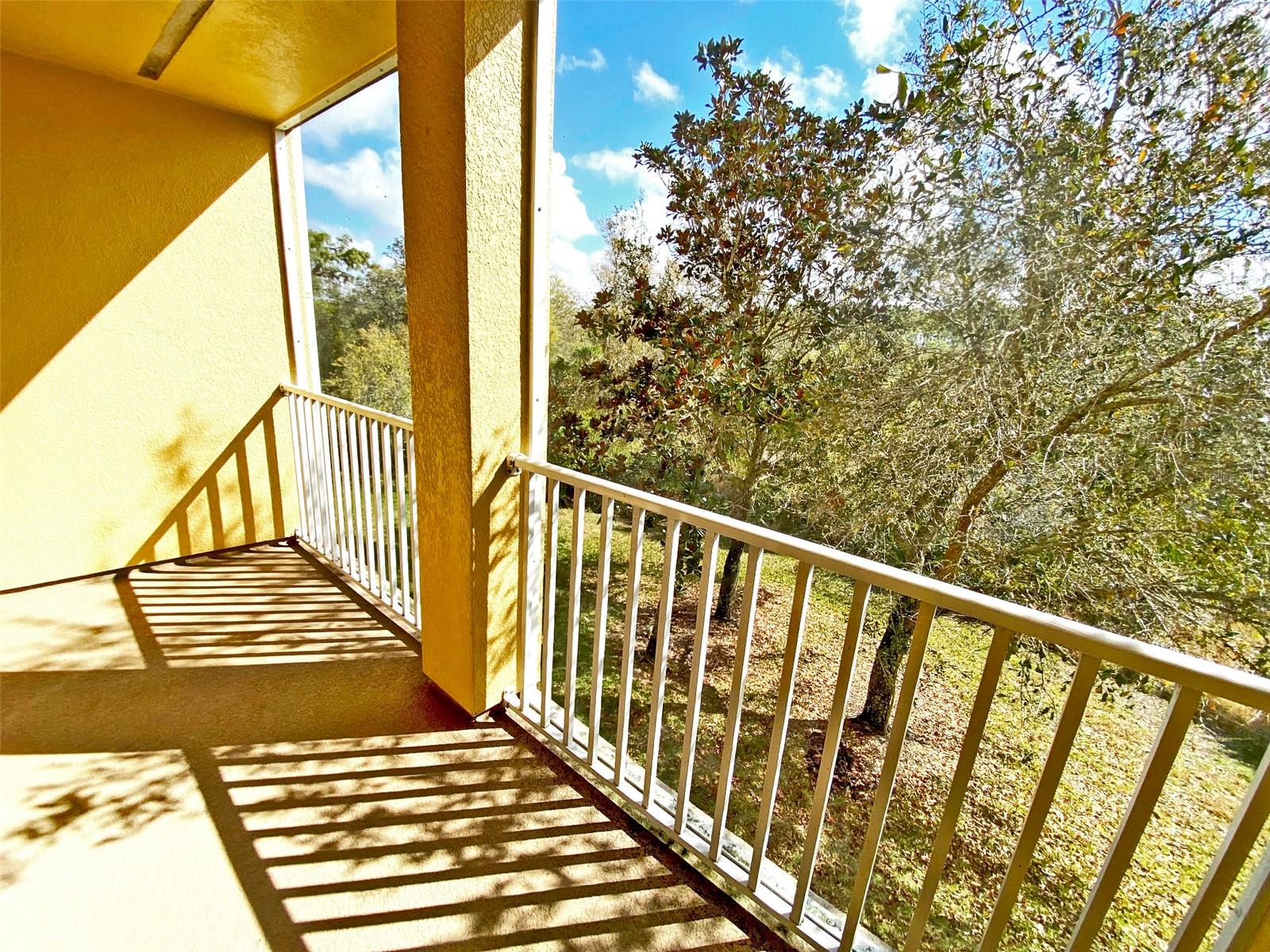 8946 WHITE SAGE LOOP, LAKEWOOD RANCH, FL — photo 9