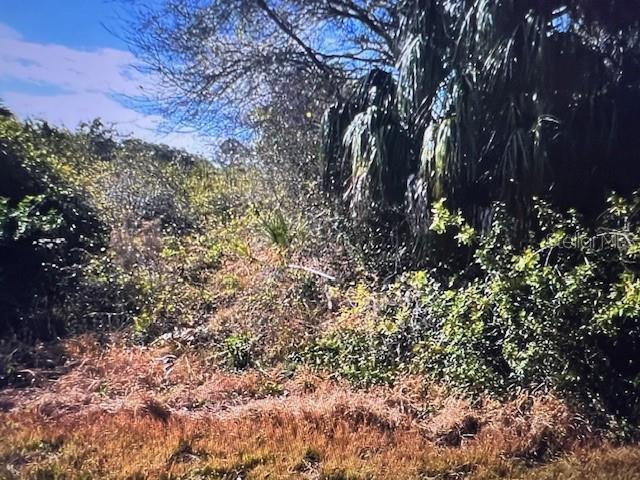 LOT 67 HARCOURT CIR, NORTH PORT, FL — photo 3