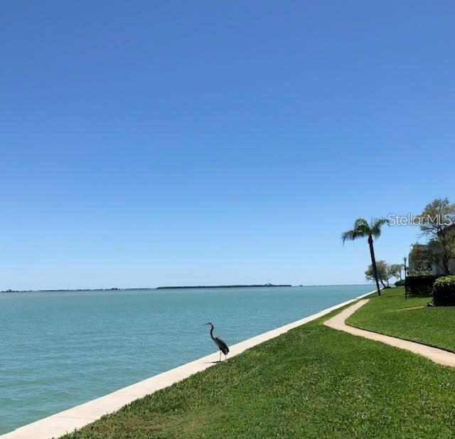 113 1ST ST E #103, TIERRA VERDE, FL — photo 22