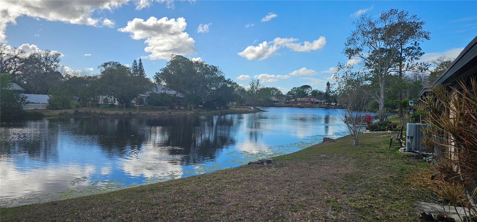 4075 SHORESIDE CIR, TAMPA, FL — photo 29