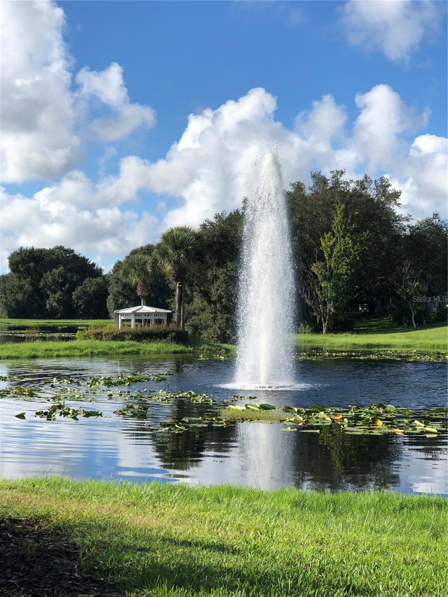 5024 LONG MEADOW DR, LEESBURG, FL — photo 193