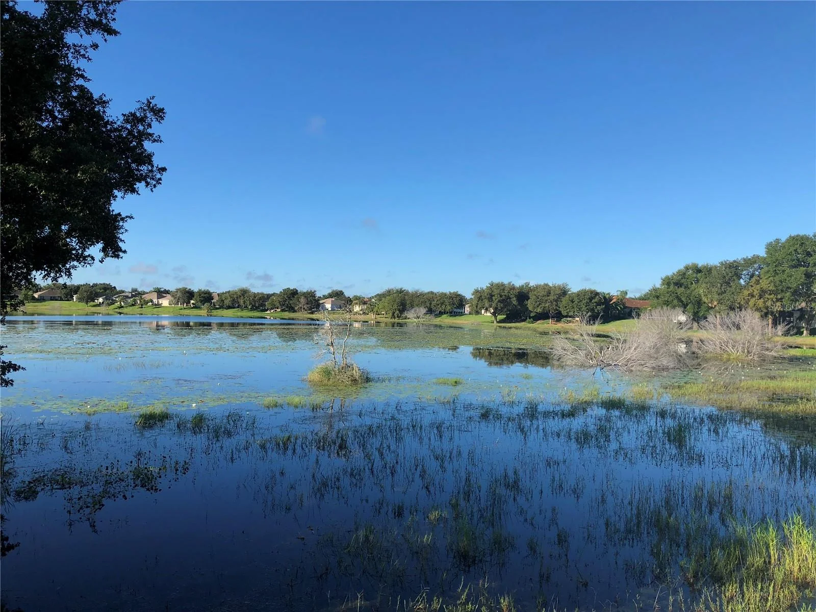 5024 LONG MEADOW DR, LEESBURG, FL — photo 196