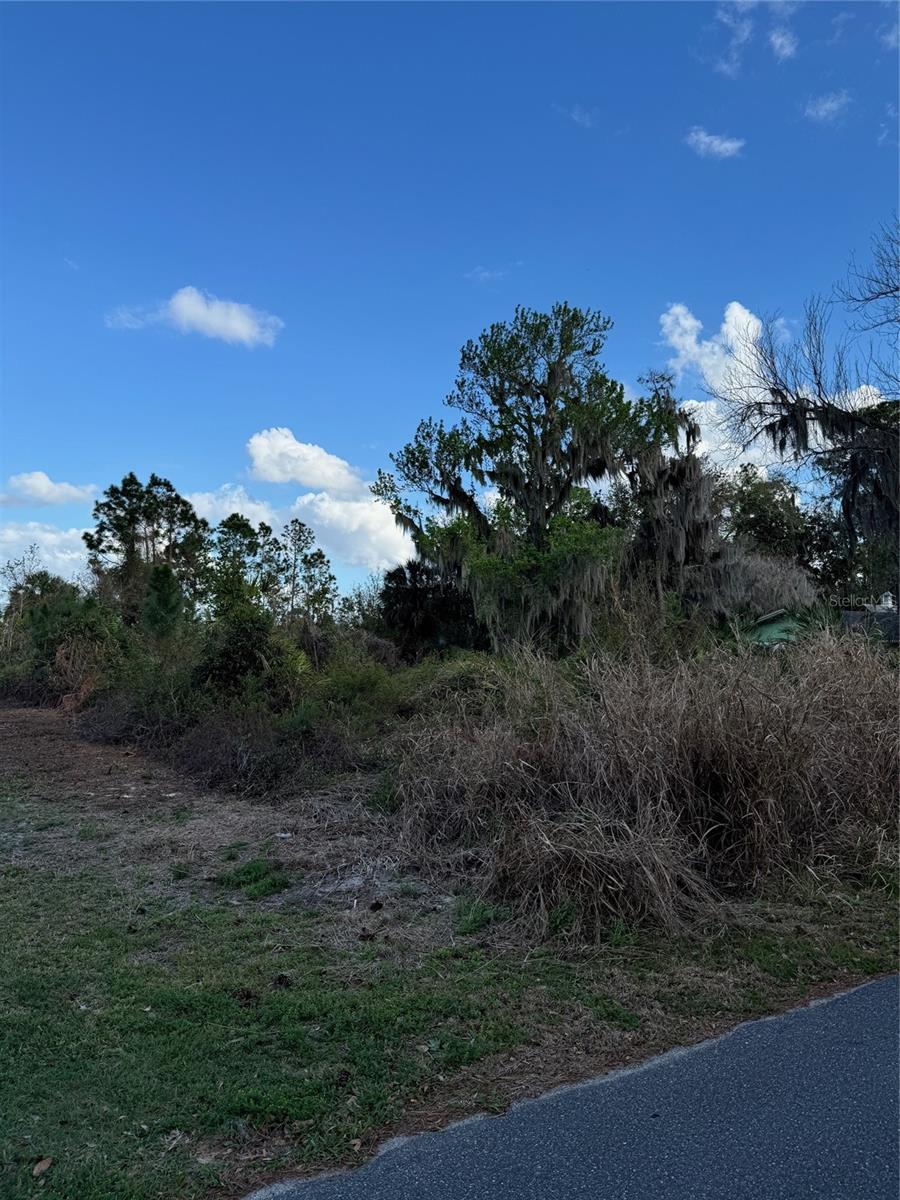 COVE RD, TAVARES, FL — photo 5