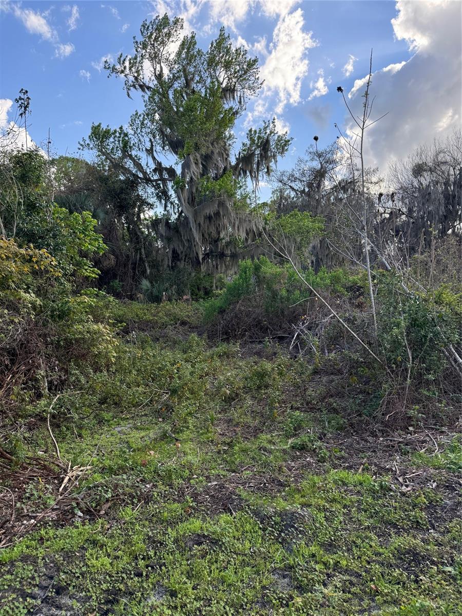 COVE RD, TAVARES, FL — photo 16