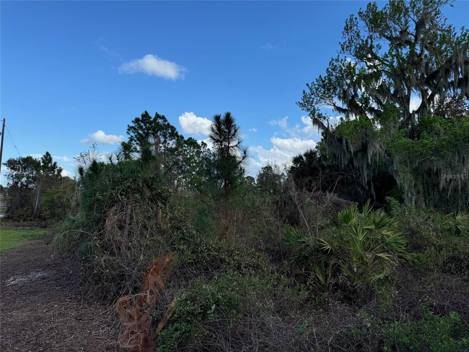 COVE RD, TAVARES, FL — photo 19