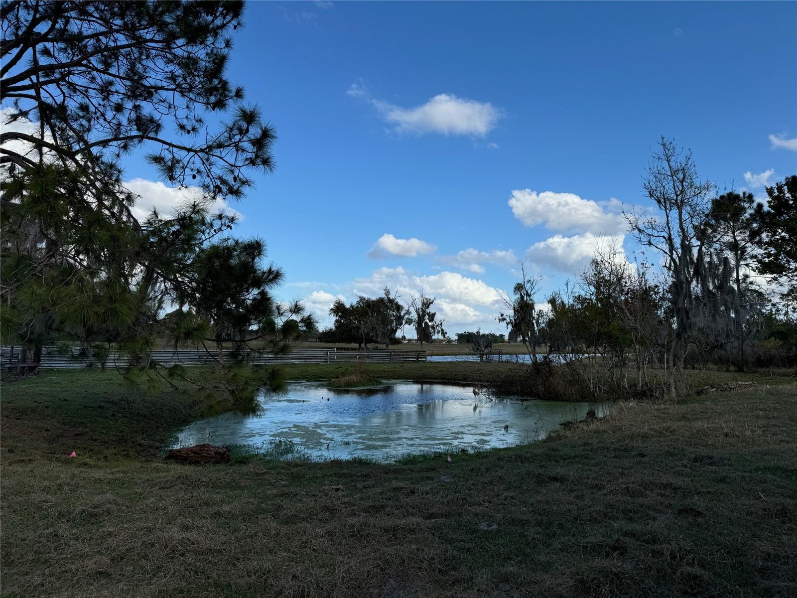 COVE RD, TAVARES, FL — photo 21