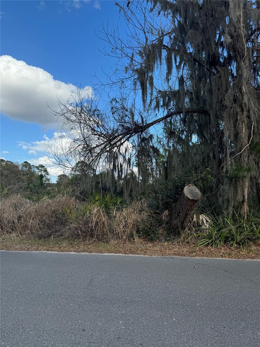 COVE RD, TAVARES, FL — photo 24