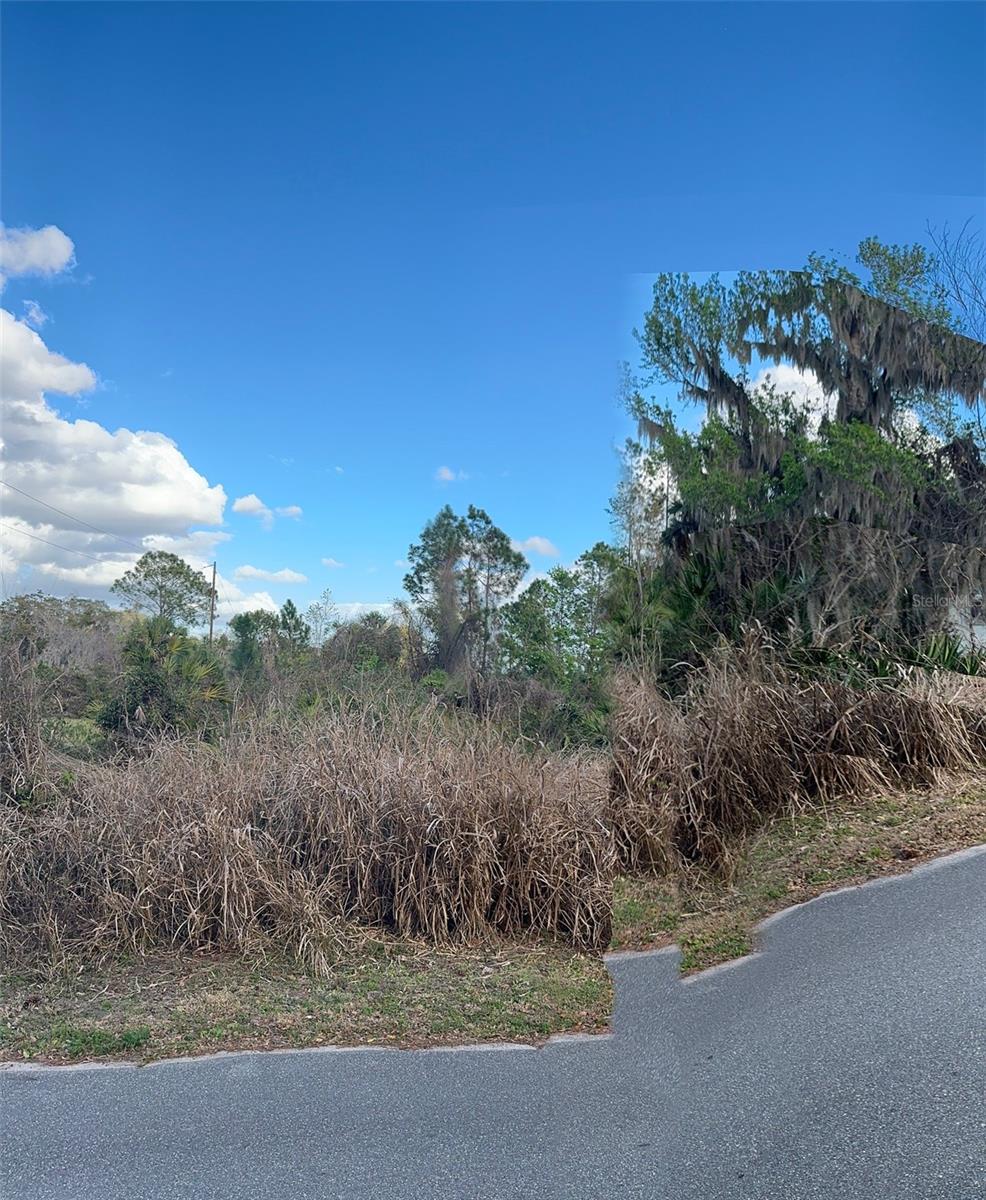 COVE RD, TAVARES, FL — photo 28