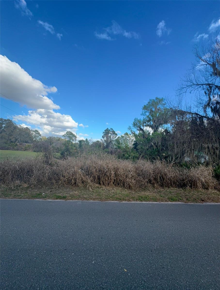 COVE RD, TAVARES, FL — photo 30