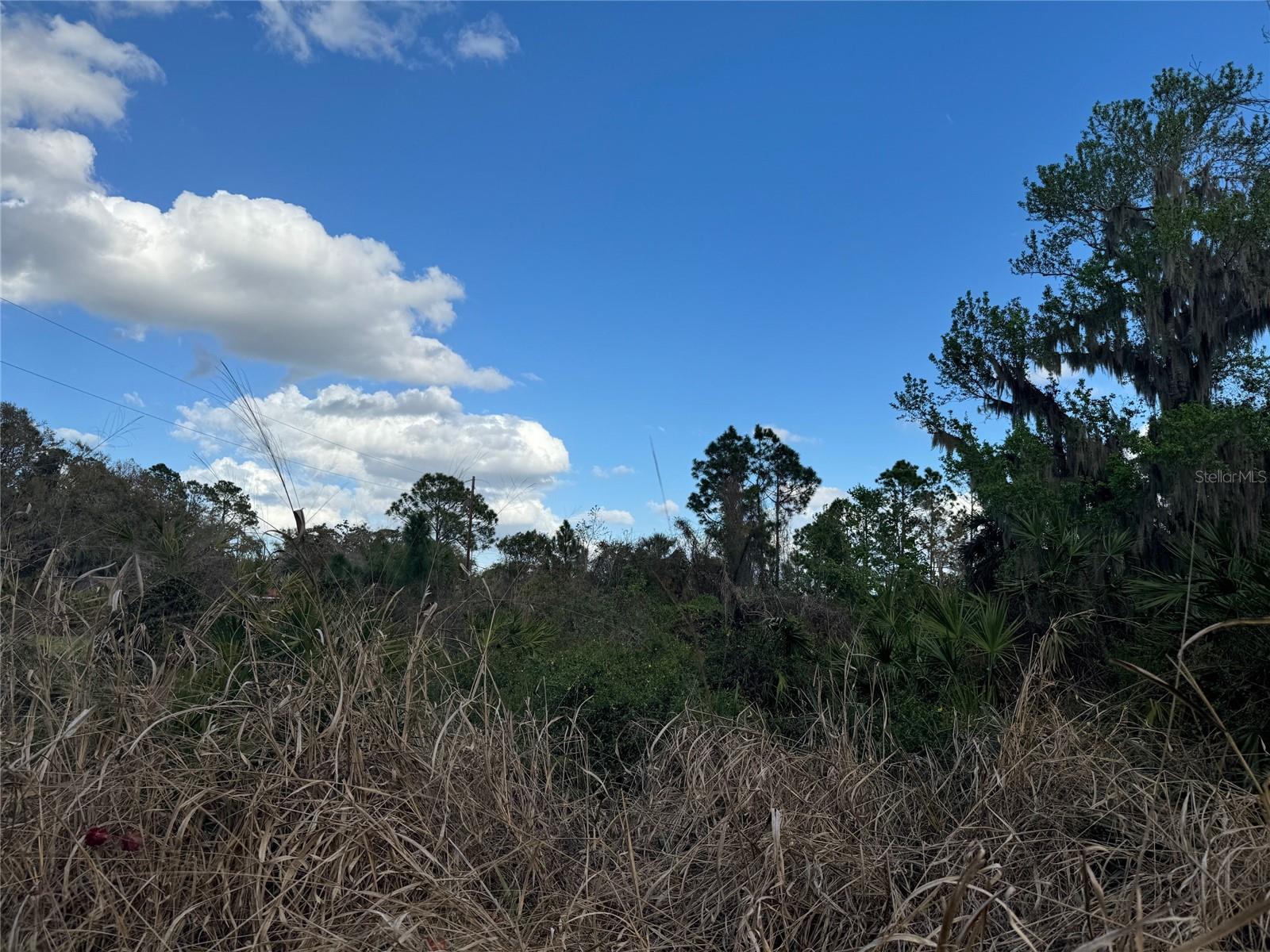 COVE RD, TAVARES, FL — photo 43