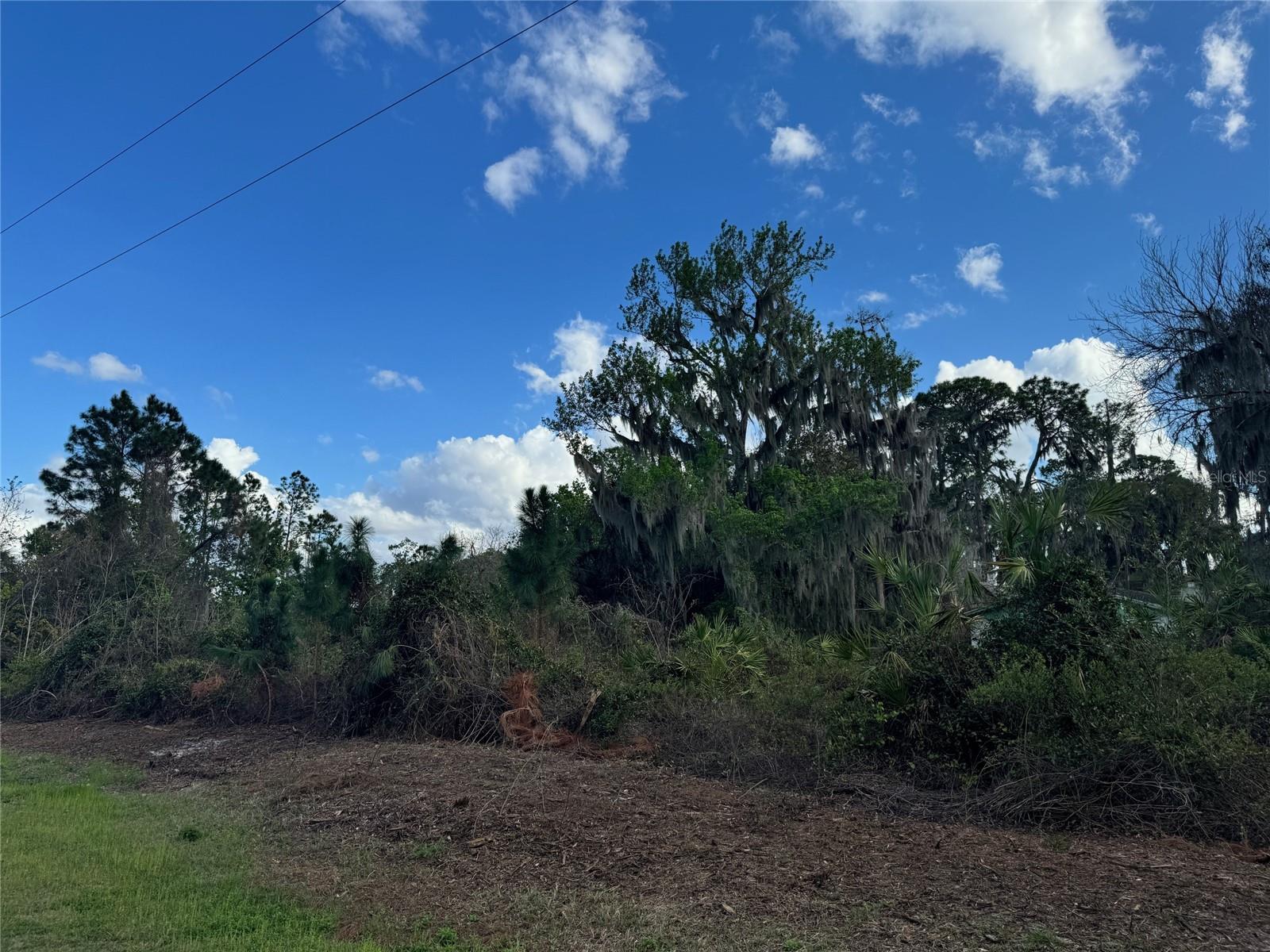 COVE RD, TAVARES, FL — photo 45