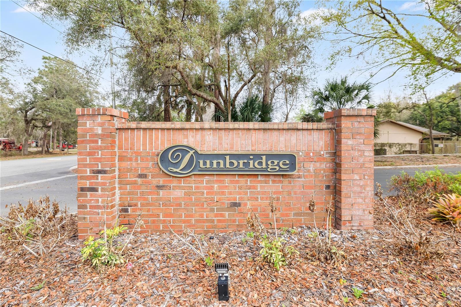 1120 DUNBRIDGE ST, APOPKA, FL — photo 38