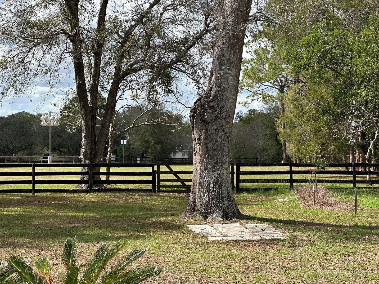 5060 SW 84TH ST, OCALA, FL — photo 27