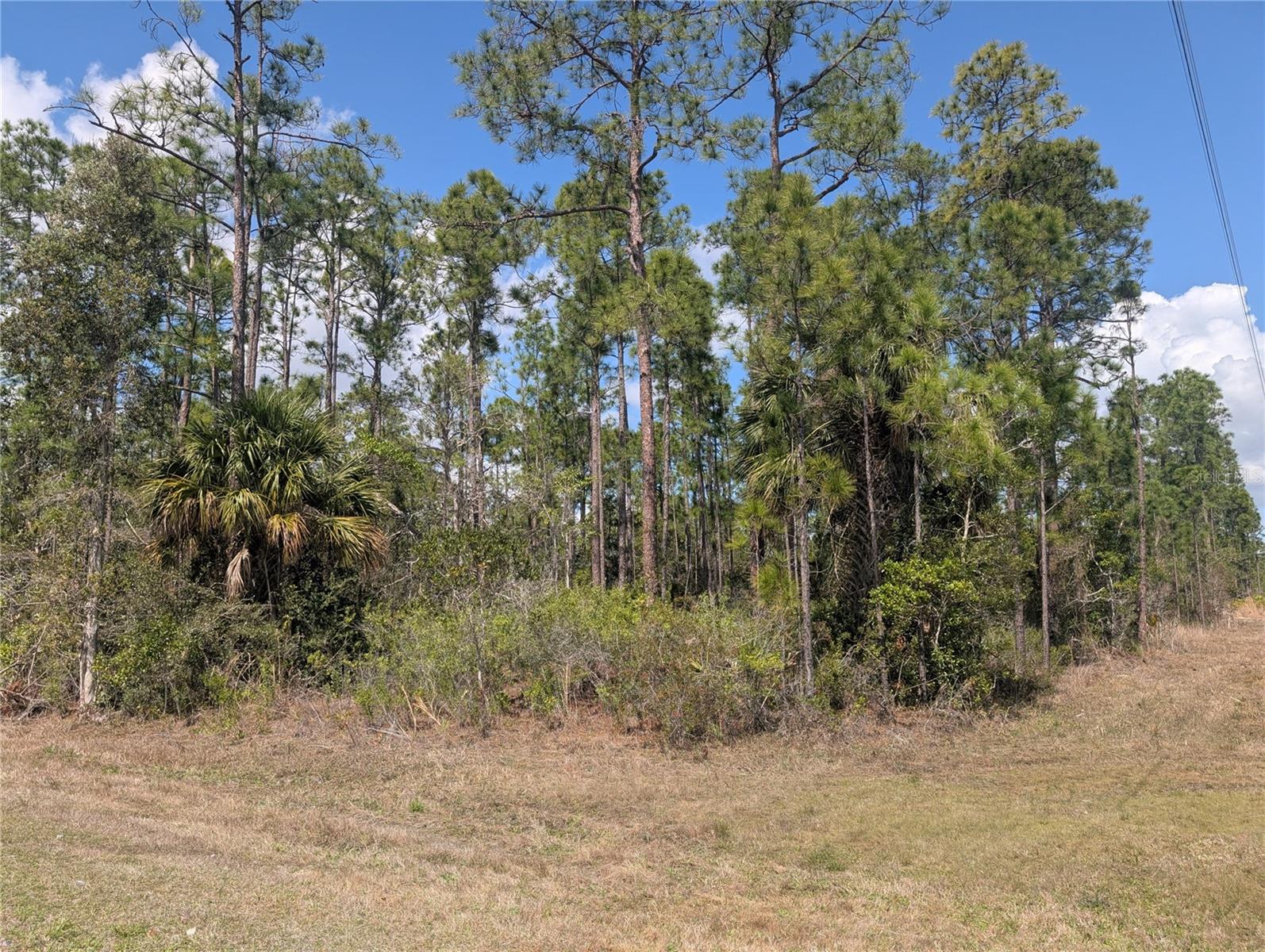 802 ALTHEA DR, INDIAN LAKE ESTATES, FL