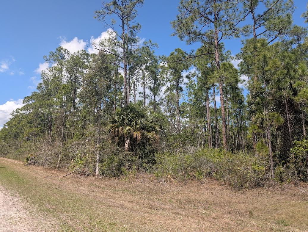 802 ALTHEA DR, INDIAN LAKE ESTATES, FL — photo 5