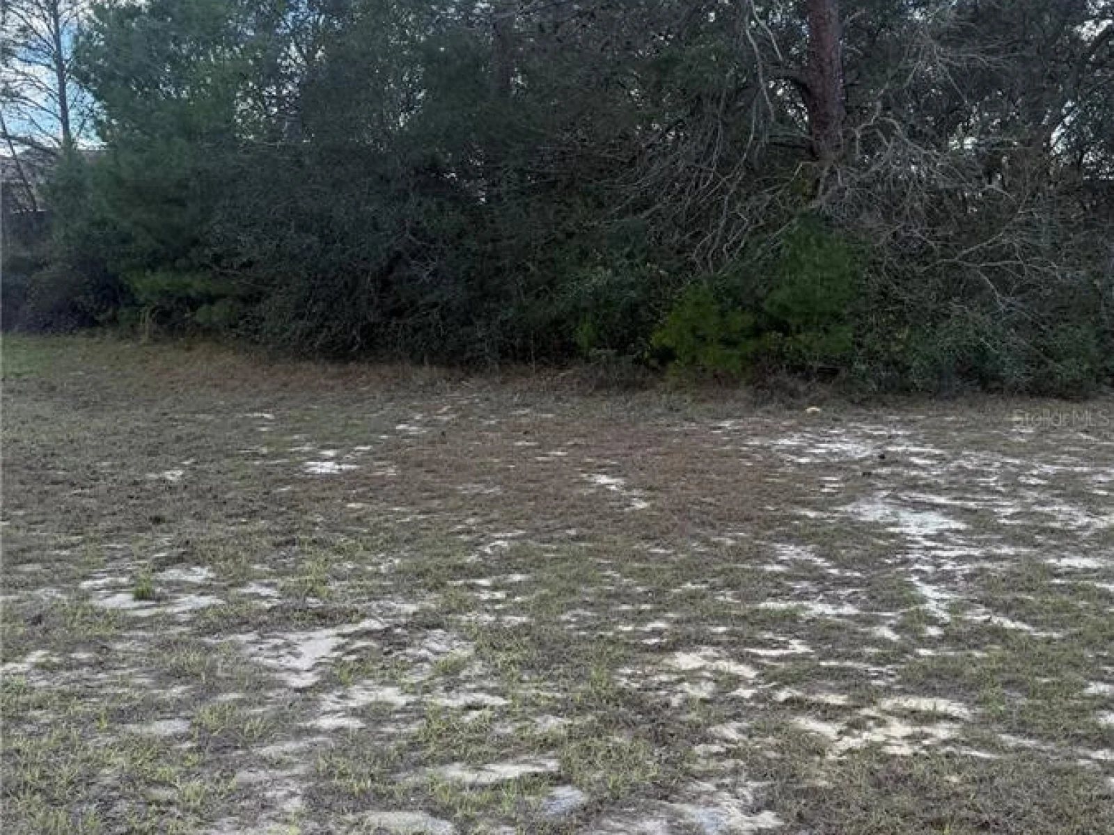 TBD SW 40TH CIR, OCALA, FL — photo 1
