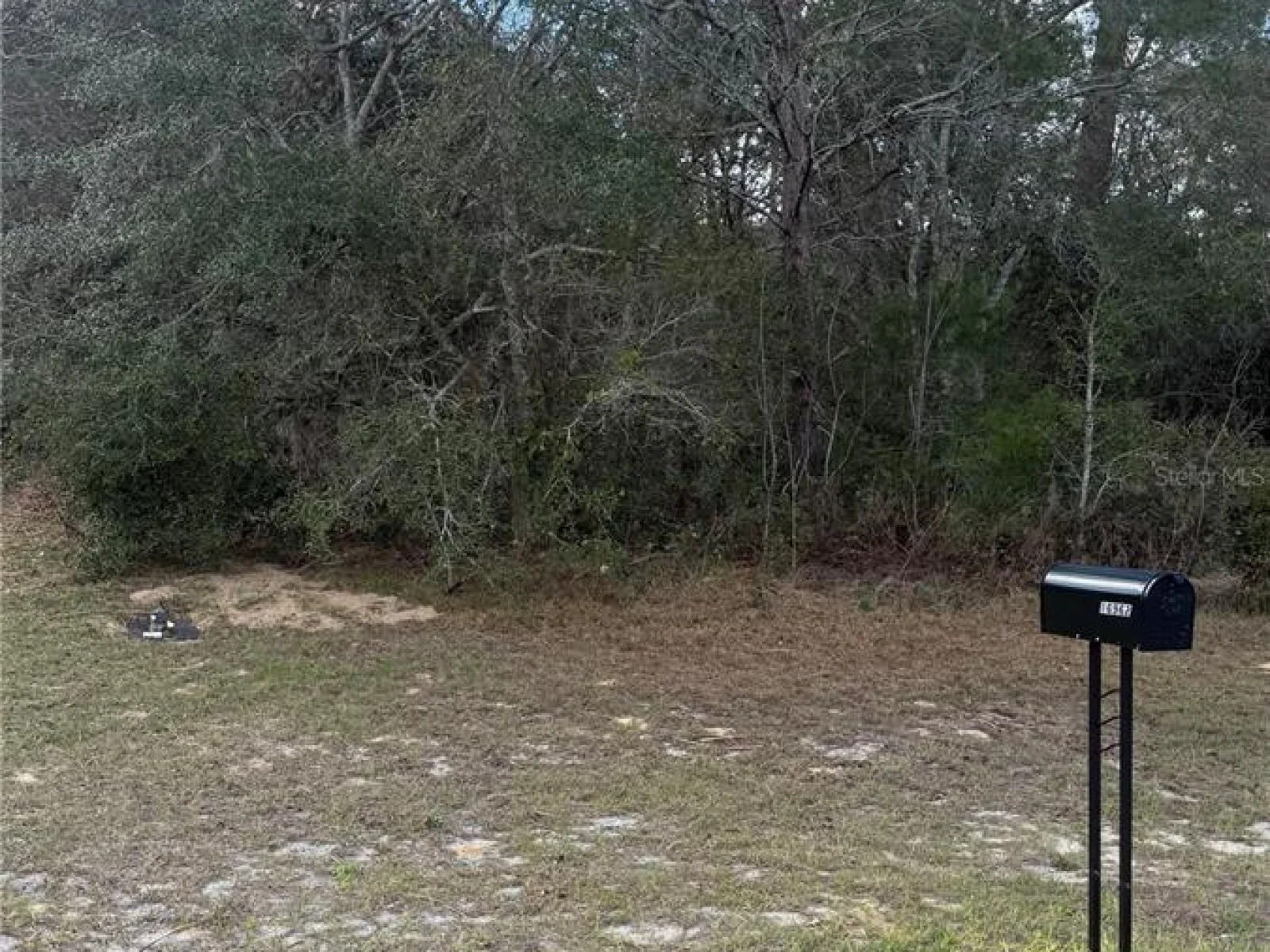 TBD SW 40TH CIR, OCALA, FL — photo 2