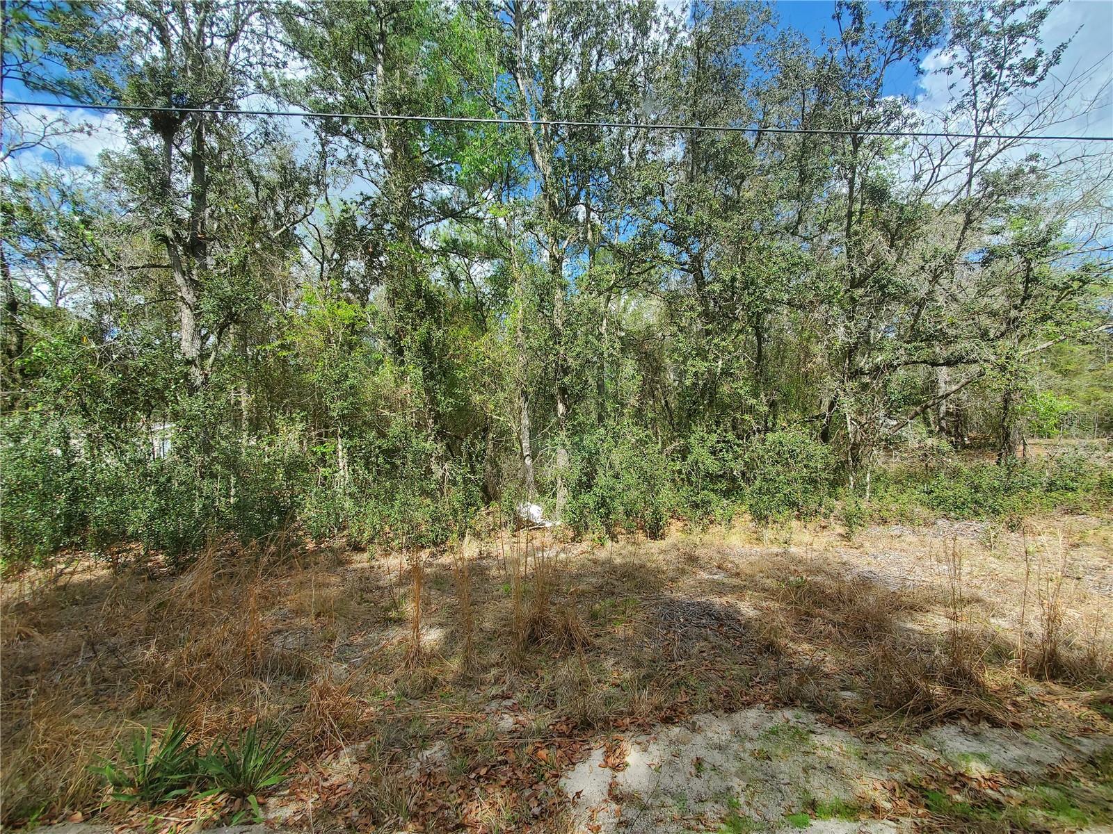 NE 172ND PL LOT 11, FORT MC COY, FL