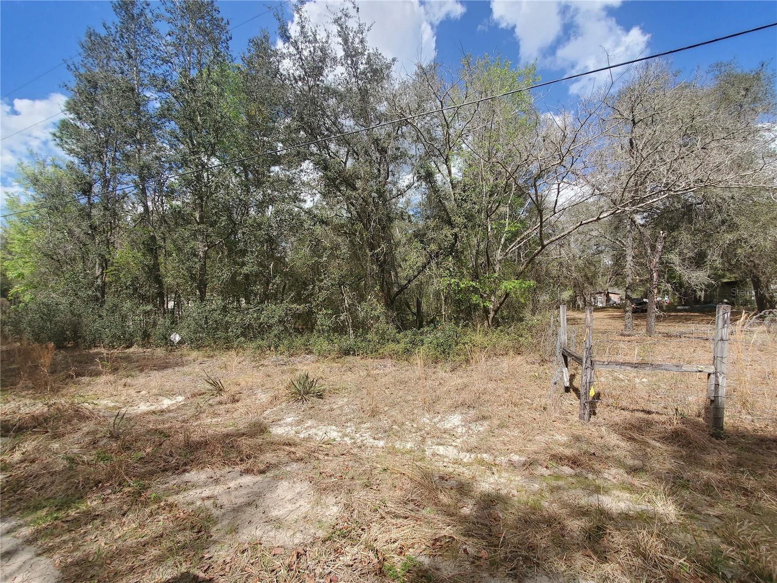 NE 172ND PL LOT 11, FORT MC COY, FL — photo 2