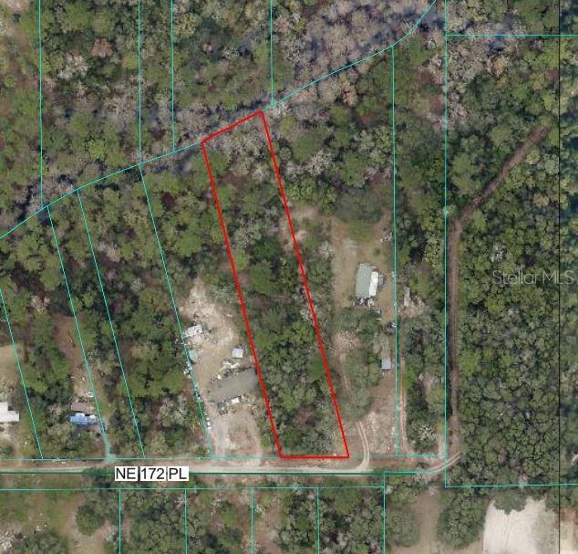 NE 172ND PL LOT 11, FORT MC COY, FL — photo 3