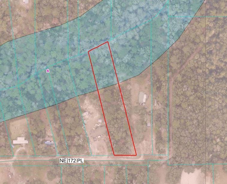 NE 172ND PL LOT 11, FORT MC COY, FL — photo 5