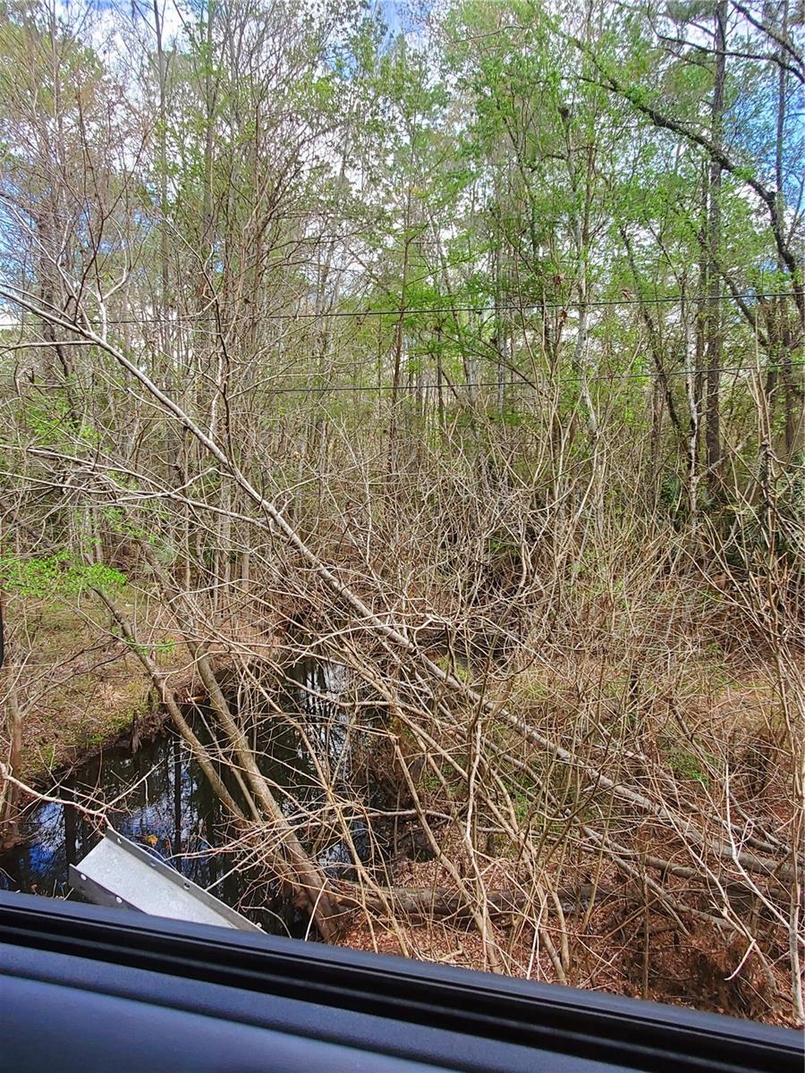 NE 172ND PL LOT 11, FORT MC COY, FL — photo 6