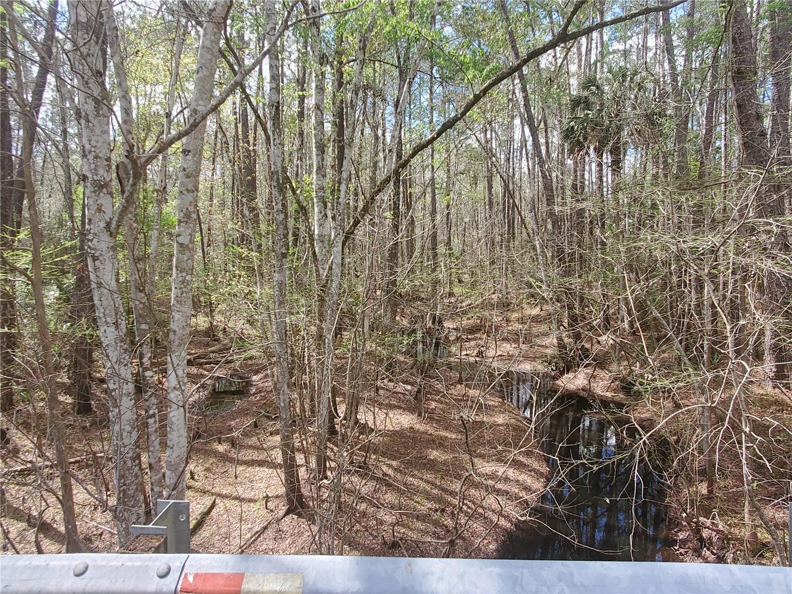 NE 172ND PL LOT 11, FORT MC COY, FL — photo 8