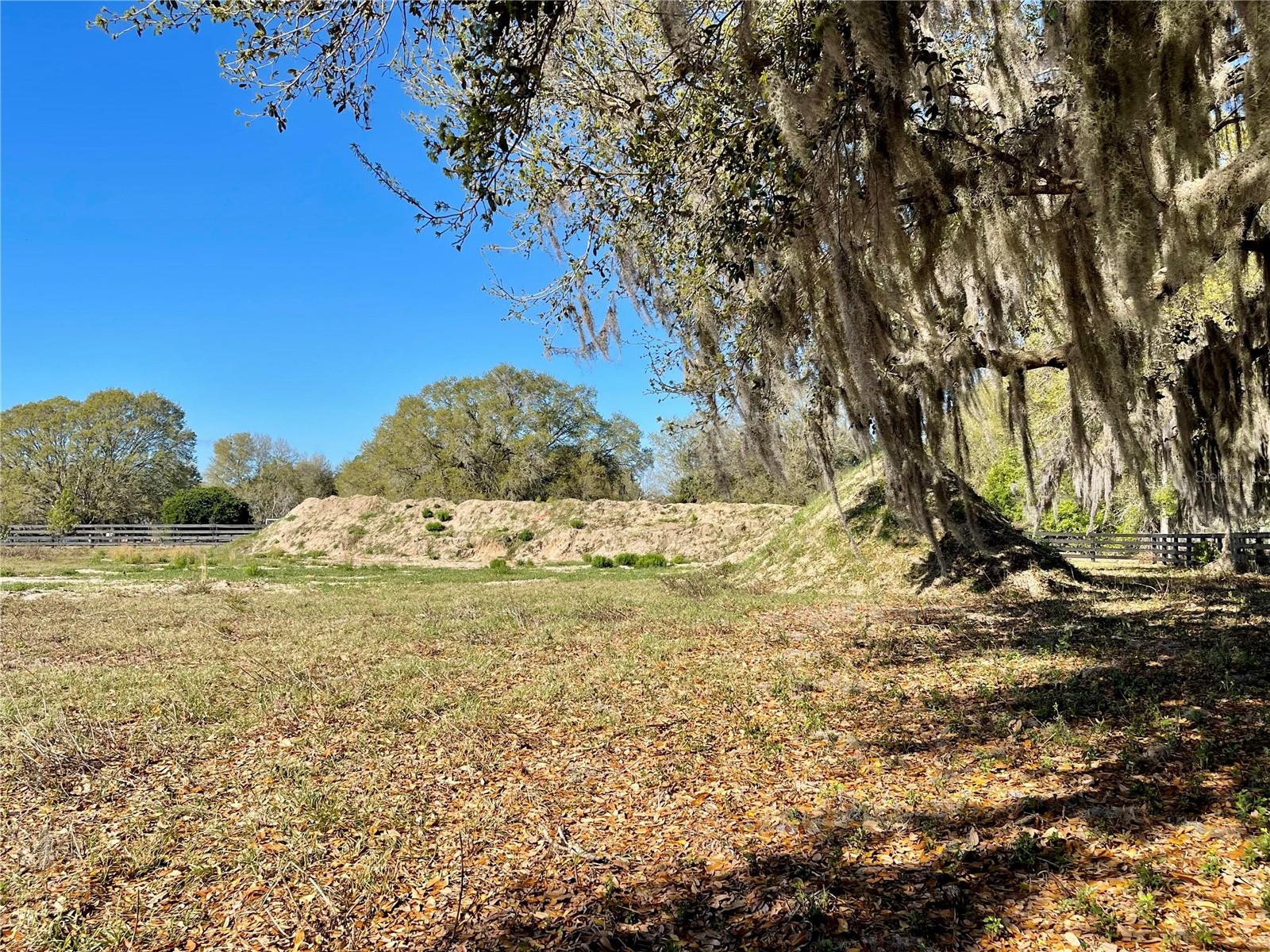 15153 SE 73RD AVE, SUMMERFIELD, FL — photo 9