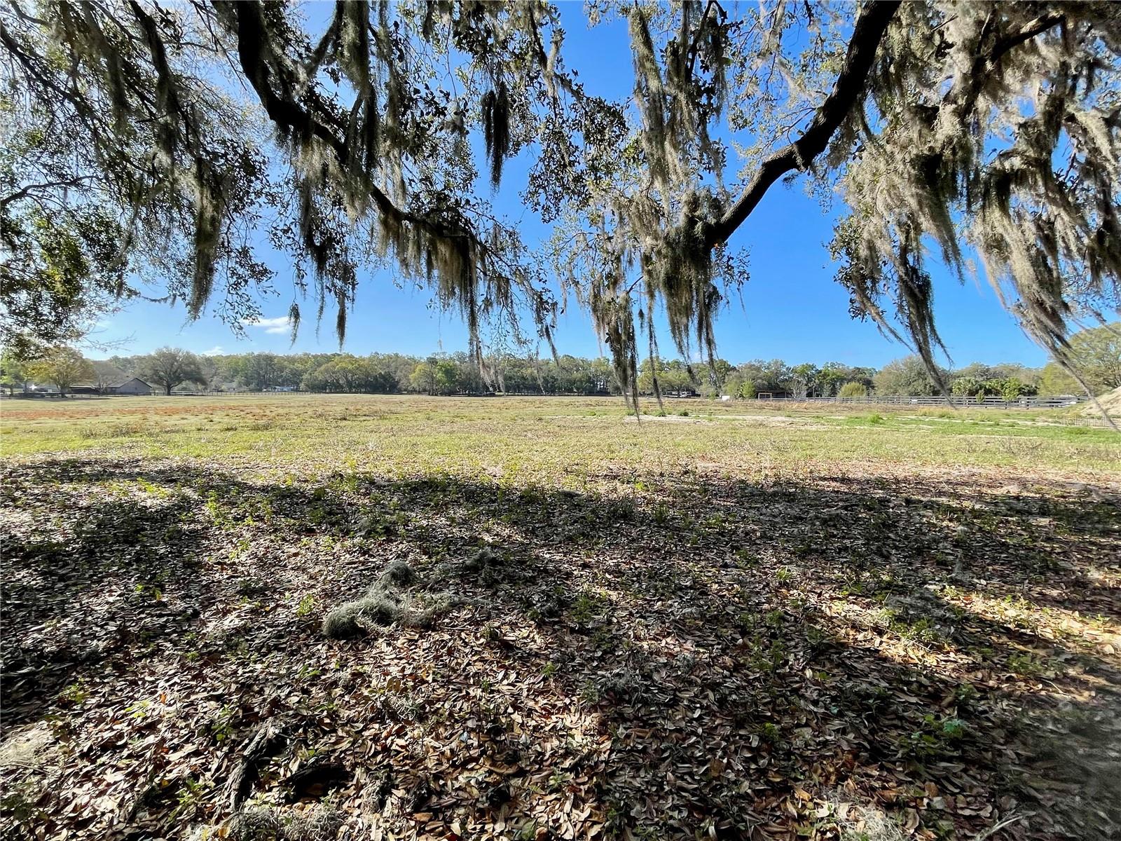 15153 SE 73RD AVE, SUMMERFIELD, FL — photo 10