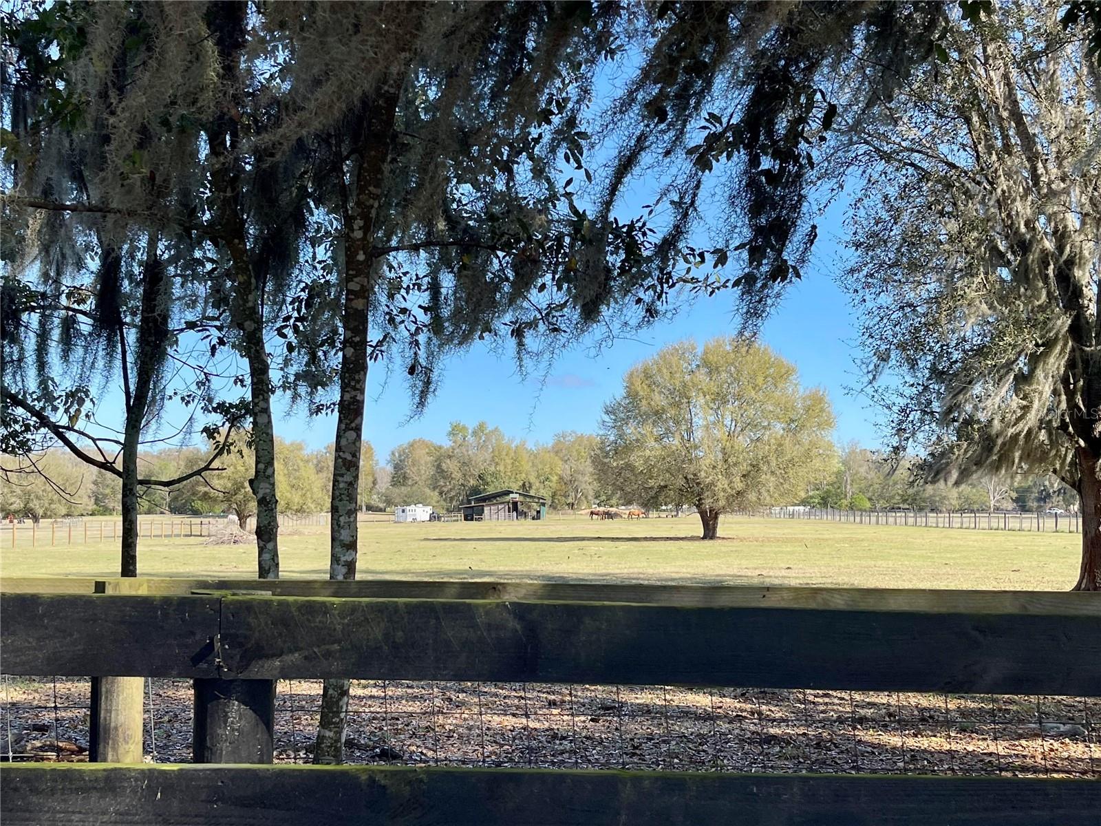 15153 SE 73RD AVE, SUMMERFIELD, FL — photo 12