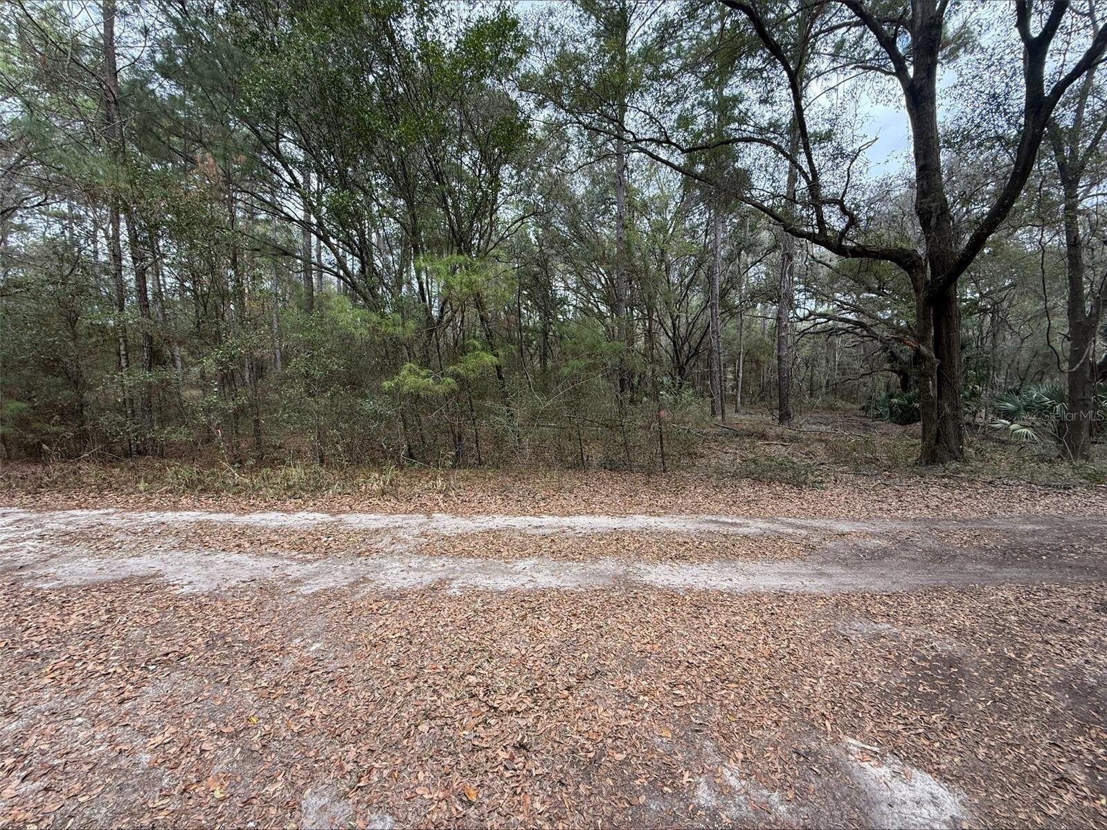 00 SW 9TH PL, OCALA, FL
