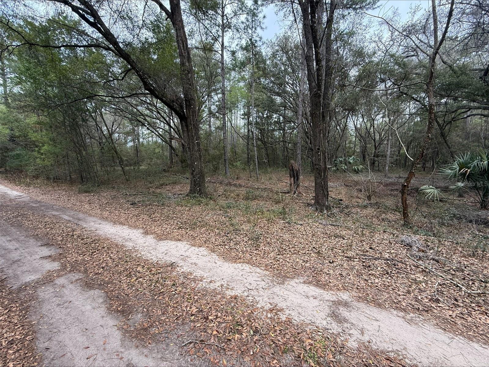 00 SW 9TH PL, OCALA, FL — photo 2