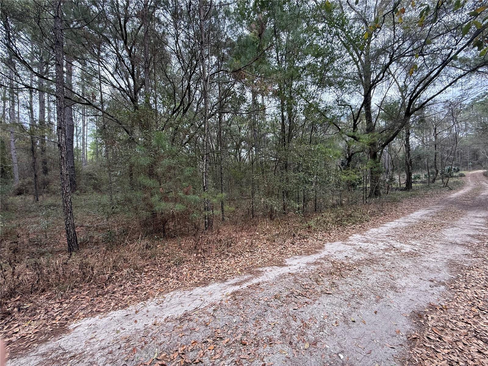00 SW 9TH PL, OCALA, FL — photo 3