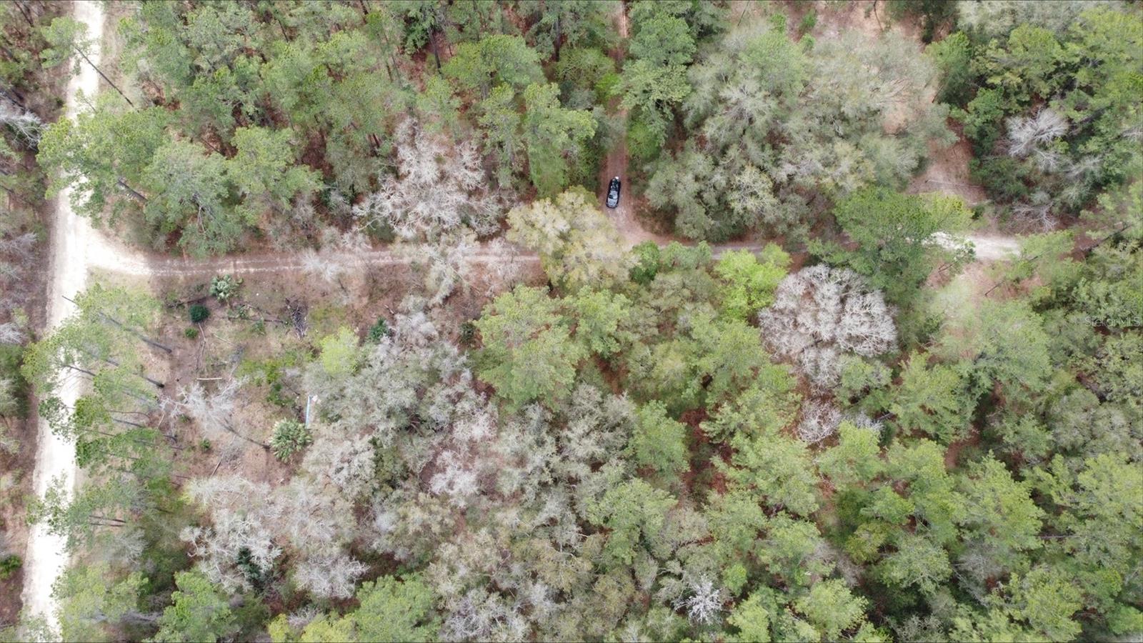 00 SW 9TH PL, OCALA, FL — photo 4
