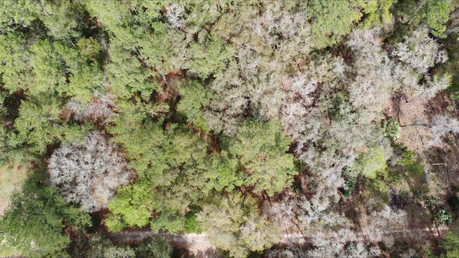00 SW 9TH PL, OCALA, FL — photo 5