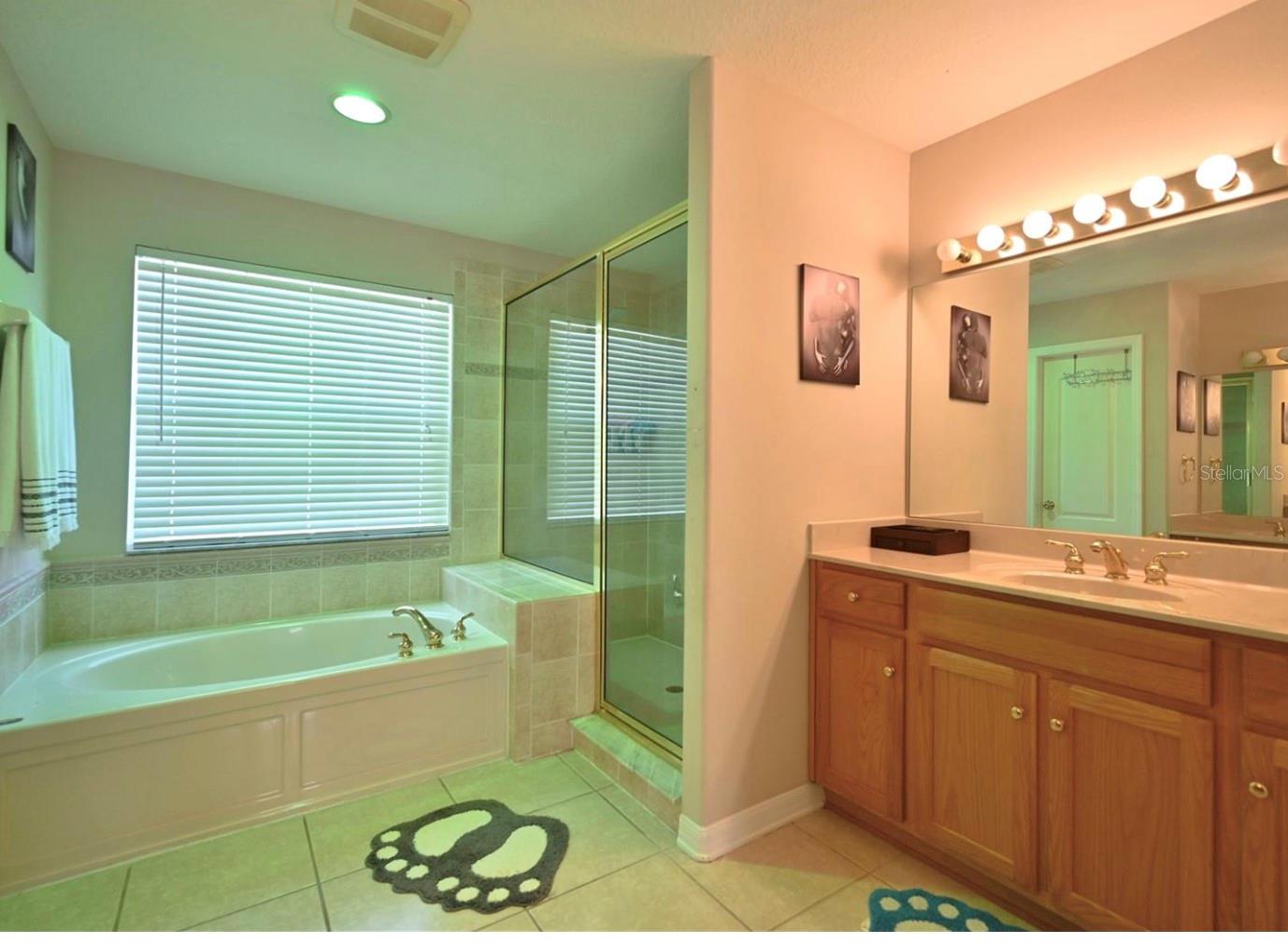 4129 TARKINGTON DR, LAND O LAKES, FL — photo 23