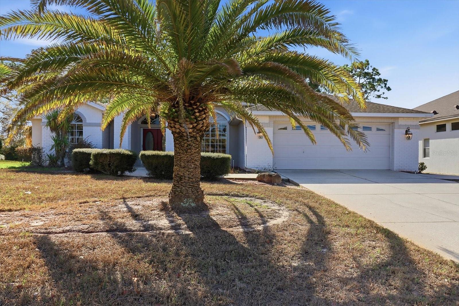 9240 BUTLER BLVD, WEEKI WACHEE, FL — photo 3