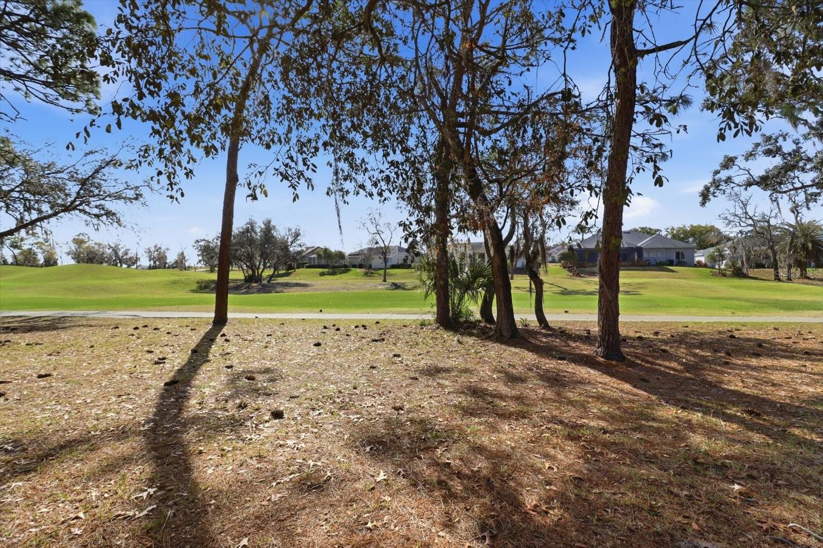 9240 BUTLER BLVD, WEEKI WACHEE, FL — photo 43