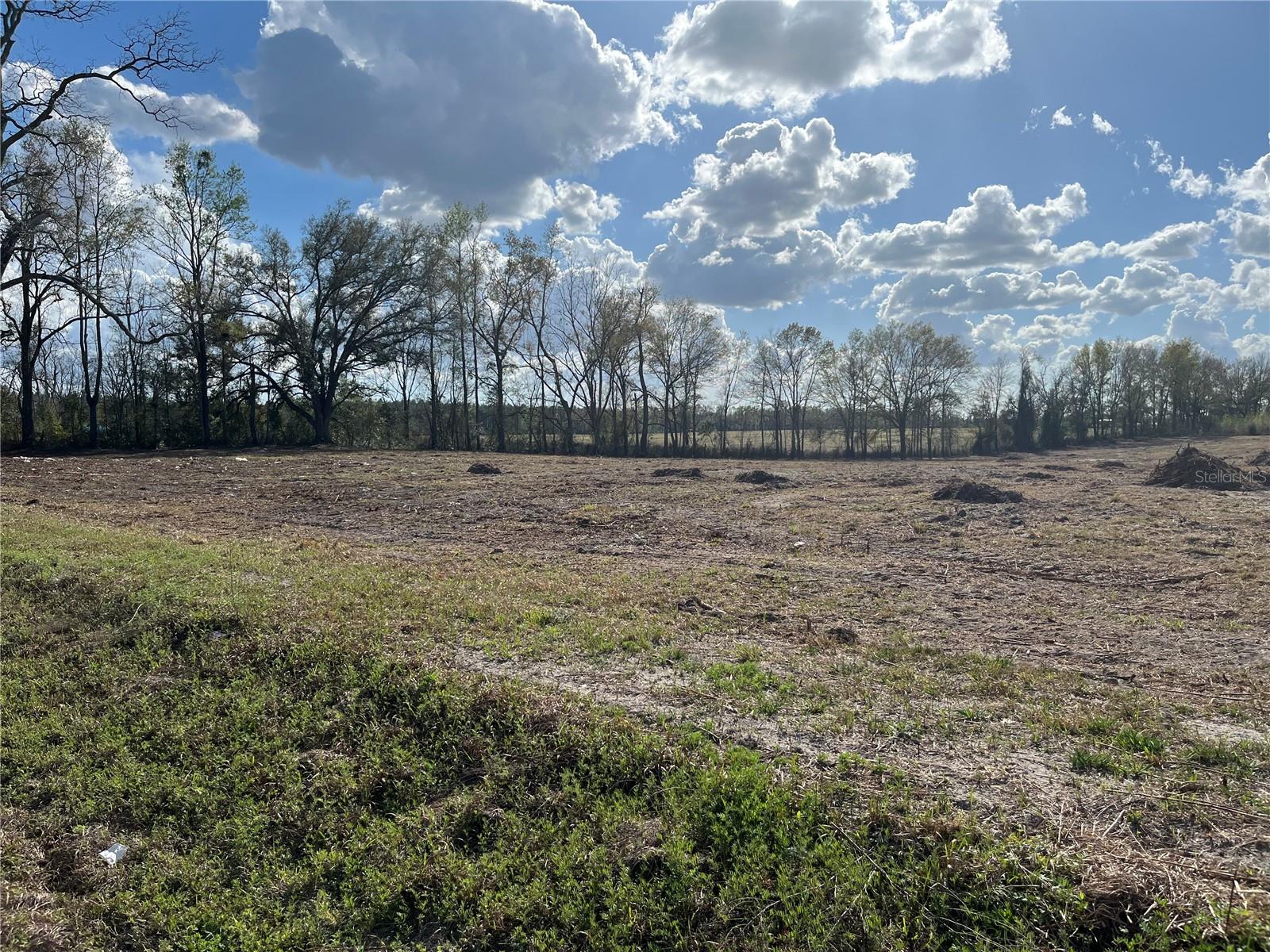 TBD 185TH RD, LIVE OAK, FL — photo 3