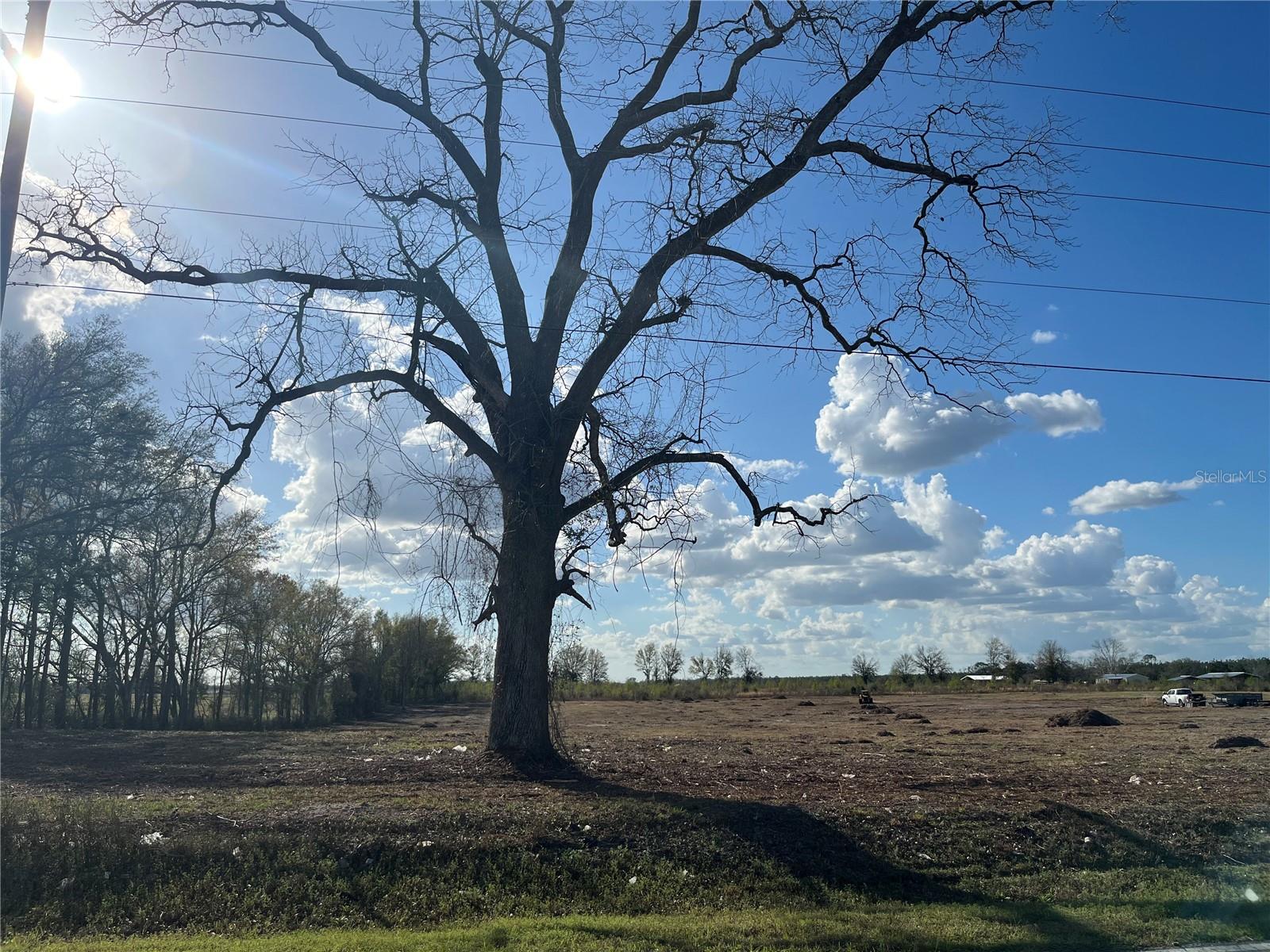 TBD 185TH RD, LIVE OAK, FL — photo 11