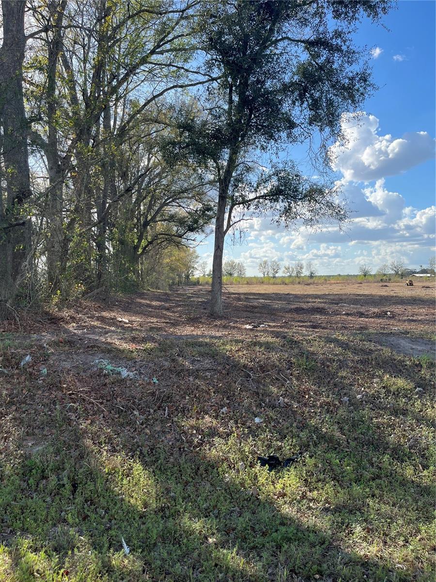 TBD 185TH RD, LIVE OAK, FL — photo 12